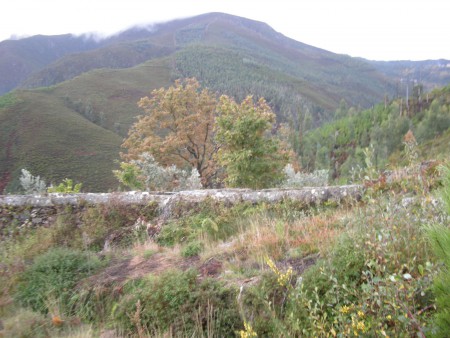 Acantonamento Covêlo_ Pioneiros 1302