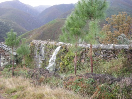 Acantonamento Covêlo_ Pioneiros 1302
